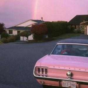 五月激激激综合网色播免费
